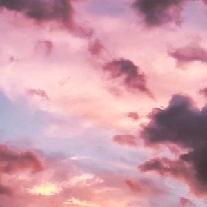 Meet your Posher, Julianne